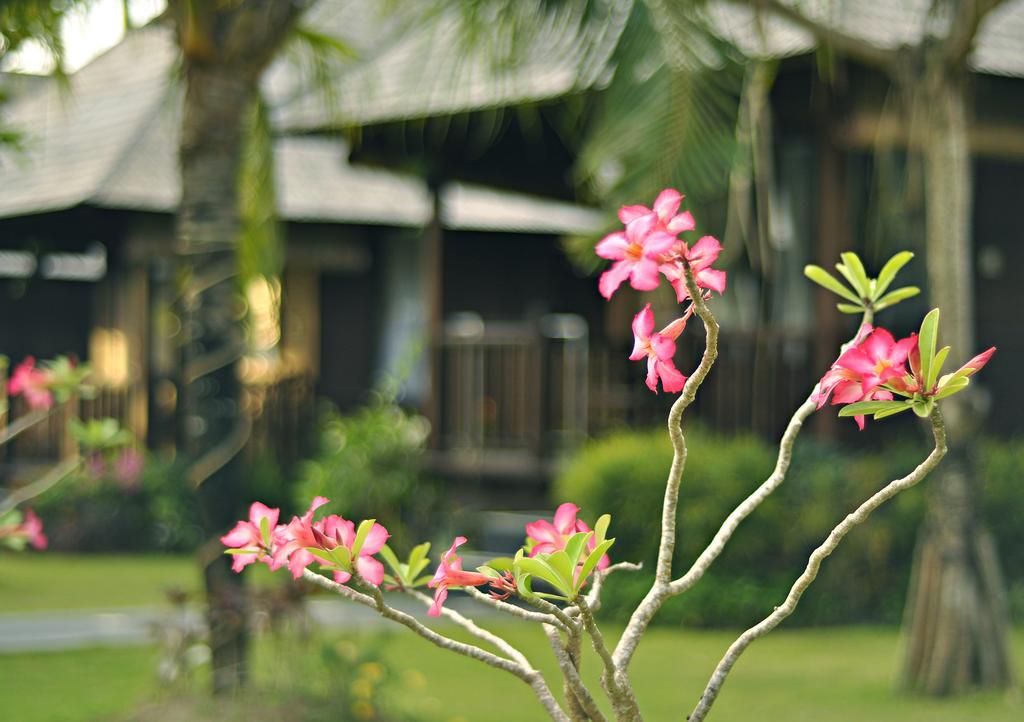 Hotel Aman Gati Balangan Pecatu Exteriér fotografie